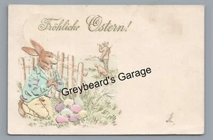 Anthropomorphic Dressed Bunny Rabbit Eggs Hiding from Hunter EASTER Postcard - Picture 1 of 2