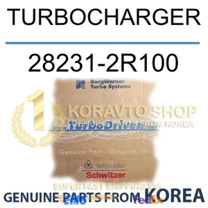 Original Borgwarner Turbocharger 28231-2R100 282312R100 FedEx Shipping Included - Bild 1 von 1