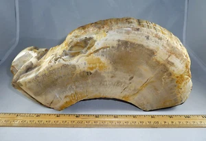 Natural Rock Freeform Sculpture Petrified Wood Arch US Handmade - Creative art - Picture 1 of 6
