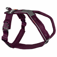 Non-Stop dogwear Line Harness 5.0 |215| Führ und Alltagsgeschirr in purple