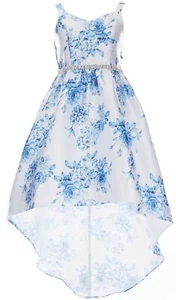 Rare Editions Big Girls Jewel Waist Floral Mikado Hi-Lo Fanciful Dress-16 - Picture 1 of 5