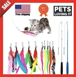 TOP QUALITY Cat kitte Toy 2pcs Retractable Feather Wand +10PCS Replacement Tease - Picture 1 of 9