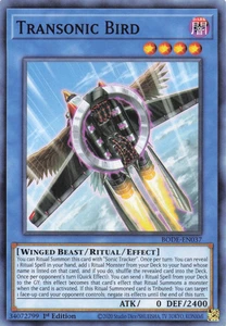 Transonic Bird BODE-EN037 1st Edition - NM - Bild 1 von 1