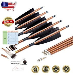 Archery Practice Arrows 12PCs Set - Spine 300/400/500/600, Lightweight Carbon - Picture 1 of 9