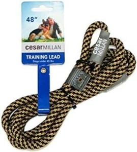 Dog Slip Lead Nylon 4ft Heavy Duty No Pull Training Leash & Collar Black - Picture 1 of 3