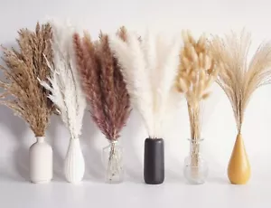 110 Pcs Dried Pampas Grass Bouquet Boho Table Decor Bunny Tails Dried Flowers Br - Picture 1 of 7