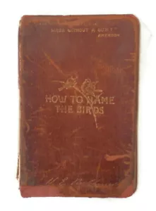 1904 Pocket Guide about Birds How to Name the Birds by H.E. Parkhurst Scribners - Foto 1 di 10