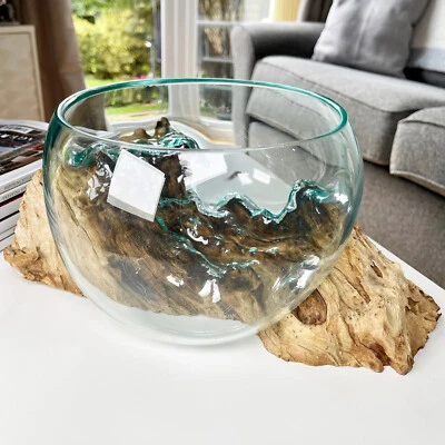 Molten 20cm Fruit Bowl On Teak Root Stand Glass Rustic Wood Decorative Sculpture - Image 1 of 4
