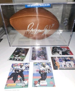 Rashaan Salaam Auto (AU) Fútbol con Estuche/Juego Usado Pelota Vs Packers Tarjeta Reliquia - Imagen 1 de 12