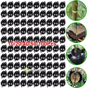 10-100PC Plant Rooting Device High Pressure Propagation Box High Pressure Growth - Picture 1 of 23
