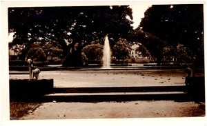 Thomas Square Park Fountain & Banyan Tree Honolulu Hawaii HI 1930s Vintage Photo - Picture 1 of 2