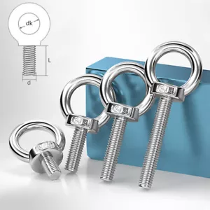 Stainless Steel G304 Lifting Eye Bolt M3 M4 M5 M6 M8 M10 M12 M14 M16 M18 M20 M24 - Picture 1 of 7