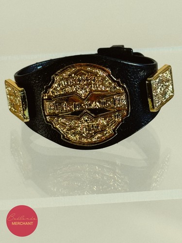 Cintura TNA X Division Champion Jakks