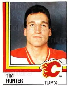 1987-88 Panini Stickers #216 Tim Hunter - Picture 1 of 1