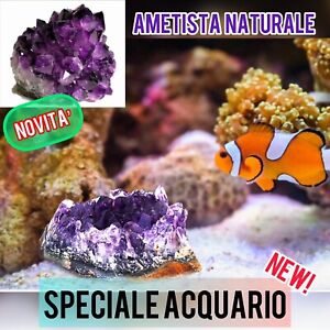 ✅NOVITÀ SPECIALE! Reale Pietra Ametista Acquario Gioiello Per Acquari Naturale