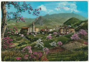 TEOLO - PADOVA - PANORAMA VERSO MONTE VENDA -65295- - Picture 1 of 1