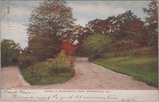 Washington Park Scene in Springfield, Illinois V.O.Hammon Pub.1906 Postcard