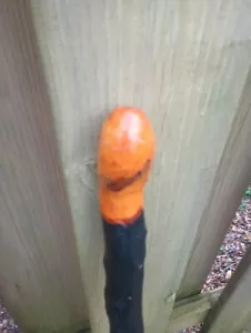 Palo para caminar/bastón irlandés Shillelagh espino negro de 36 pulgadas de largo a la venta internacional - Imagen 1 de 6