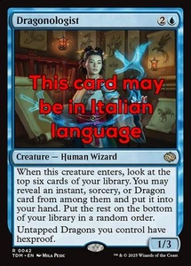 MTG DRAGONOLOGIST EXC - DRACOLOGA 42 - TDM - MAGIC - Picture 1 of 1
