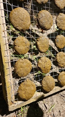 Agniothra Dhoop, 1kg getrockneter Kuhdung von freilebenden Zwergzebus - Bild 1 von 4