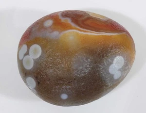 Gobi Desert Collector Eye 94 gr Agata lotto M - Foto 1 di 19