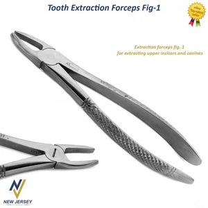 Tooth Extraction Forceps Fig.1 Dental Upper Molars Centrals Canines Incisors - Picture 1 of 5