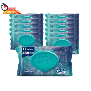 Charmin Spültücher, 480 Tücher insgesamt (12 Packungen à 40) - Bild 1 von 12
