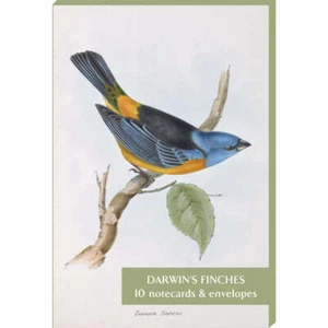 Pack de 10 cuadernos Darwin's Finches 2 cada uno de 5 diseños - Tarjetas de felicitación en blanco - Imagen 1 de 5