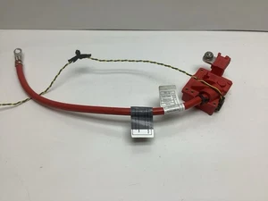 Cable Batería BMW 1 3 X1 Series E82 E84 E88 E90 E91 E92 (Más Polo) 9217018 - Imagen 1 de 5