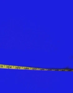 SOLID ROYAL BLUE SHEER  ORGANZA  POLYESTER  FABRIC  60X43 INCHES  1.6 INCHES - Picture 1 of 2