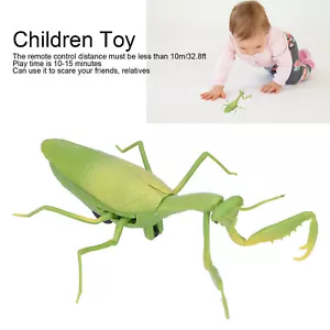 Remote Control Insects RC Animals Children Adults Trick Toys Electric Animals - Picture 1 of 12