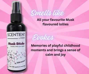 MUSK STICKS Air freshener 100ml room spray home/car fragrance deoderiser STRONG! - Picture 1 of 4
