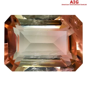 7.77 ct AIG Certified Dazzling Octagon (13 x 10 mm) Un-Heated Bi Tourmaline - Picture 1 of 3