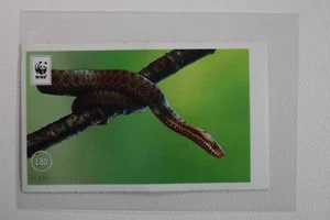 Unser Wald (EDEKA) Sticker Nr. 180 - Bild 1 von 1