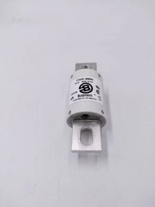 New In Box BUSSMANN FWH-300A (FWH300A) 300 Amp High Speed Fuse - Picture 1 of 1