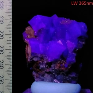 Fluorita Fluorescente Transparente Translúcido Cúbico Cristal Racimo Mineral Video 326ct - Imagen 1 de 8