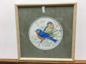 David Plank Eastern Bluebirds & Dogwood Original Aquarell Kunst Gemälde gerahmt - Bild 1 von 3
