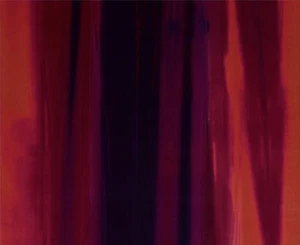 HARLEQUIN CURTAIN FABRIC DESIGN Amazilia Velvet 1.7 METRES PAPAYA/RASPBERRY - Picture 1 of 5