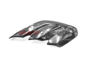 Paracalore in carbonio MV Agusta Dragster 800 (post-2018) / Heat shield carbon - Picture 1 of 8