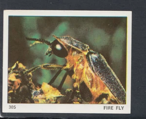 Tarjeta Top Sellers - Animales del Mundo - Tarjeta Nº 305 - Fire Fly (1) - Imagen 1 de 2