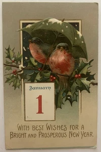 Cartolina Capodanno in rilievo 1907 Pettirossi Agrifoglio Ombrello Germania - Foto 1 di 2
