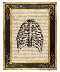 Rib Cage Art Print on Vintage Book Page Medical Anatomy Hanging Home Decor Gifts - Picture 1 of 3