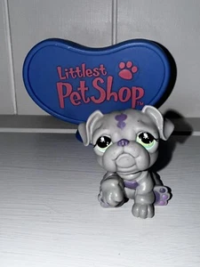 Authentic Littlest Pet Shop LPS #916 Gray & Purple Bulldog with Green Eyes EUC - Picture 1 of 6