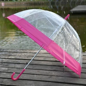 LADIES TRANSPARENT BORDER COLOURED DOME WALKING UMBRELLA AUTOMATIC BROLLY - Picture 1 of 11