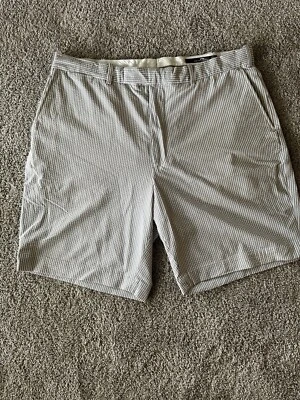 RLX by Ralph Lauren Golf Shorts Men's Size 40 8” Inseam Blue Striped Stretch - Image 1 of 4