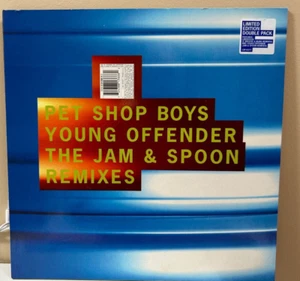 UNBESPIELTE Pet Shop Boys Liberation Remixe / Young Offender Jam & Spoon Remixe - Bild 1 von 2