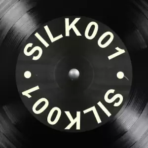Silk | Can't Stop | 12" Vinyl - Imagen 1 de 1