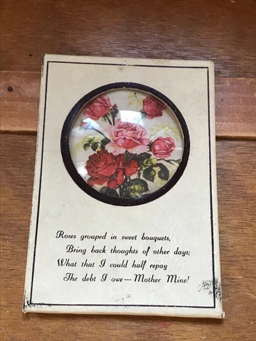 Vintage Faux Cream Leather Picture with Pink Red Roses Under Plastic Bubble with Cover
