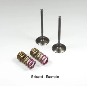 PROX - Einlass - Ventil - Kit  STAHL für Kawasaki KX-F 250  BJ 04-06 - Bild 1 von 1