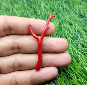 Real Red Coral Gemstone, Raw Italian Coral Stick, polished red coral stick rough - Picture 1 of 1